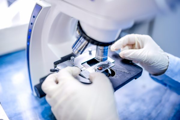 Close-up,Of,Scientist,Hands,With,Microscope,,Examining,Samples,And,Liquid